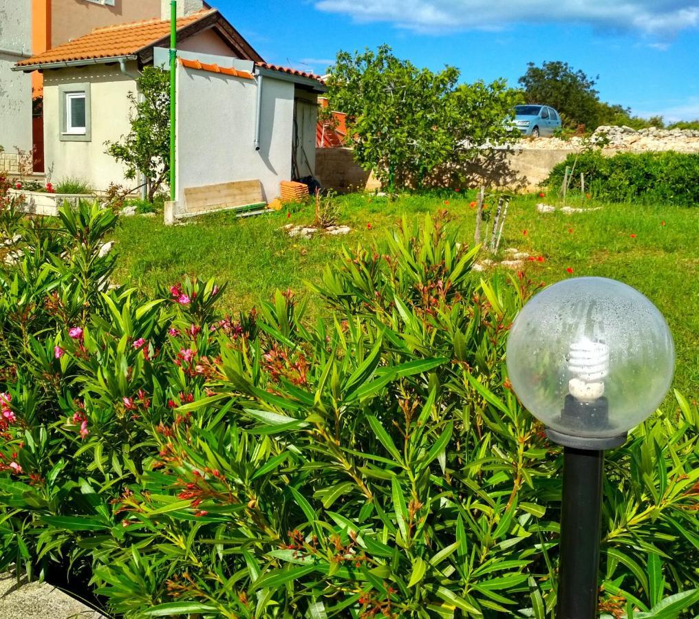 Apartments Villa Maja ロゴズニッツァ エクステリア 写真