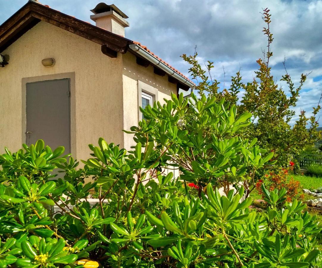 Apartments Villa Maja ロゴズニッツァ エクステリア 写真
